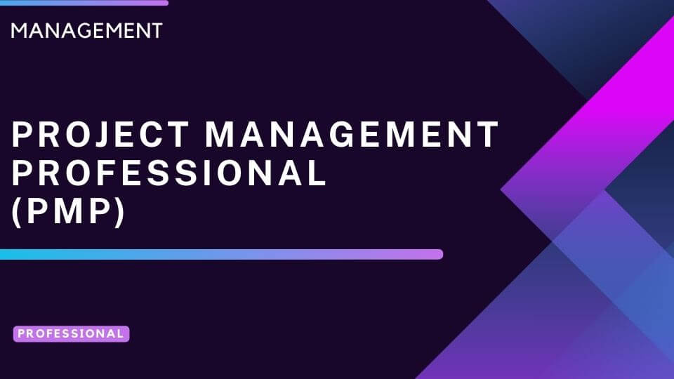 Project Management Professional (PMP)