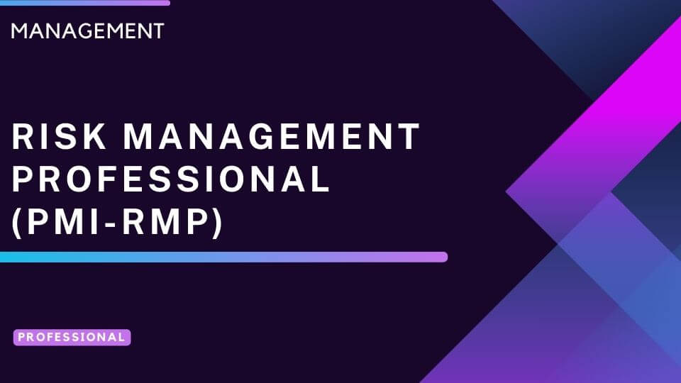 Risk Management Professional (PMI-RMP)